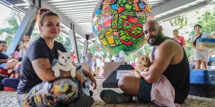 Oportunidade de imunização para quase 1 mil gatos até esta quarta