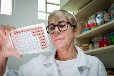 Leptospirose: Instituto Butantan desenvolve teste que detecta doença em estágio inicial