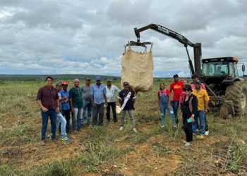No interior da Bahia novas tecnologias impulsionam a produção agrícola 