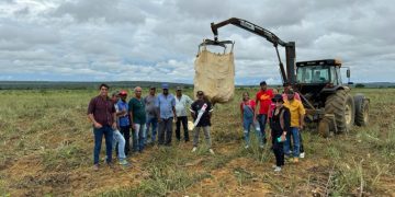 No interior da Bahia novas tecnologias impulsionam a produção agrícola 