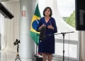 Brasil Contra a Dengue