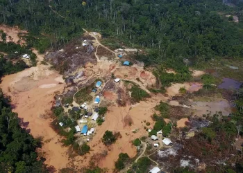 Garimpo: Desafios socioeconômicos e ambientais impõem mudanças na regulamentação