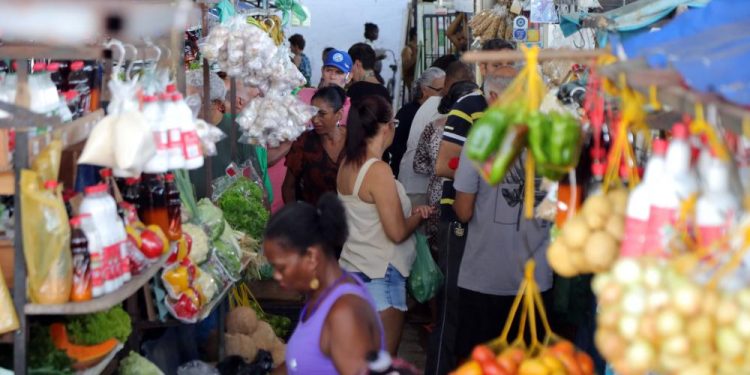Economia: Feirantes celebram movimento de clientes nas feiras e mercados municipais