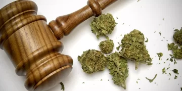 Política: criminalização das drogas chega ao Plenário do Senado