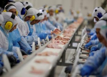 Avanço: 146 frigoríficos brasileiros podem exportar para a China