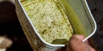 Atenção: Vitória da Conquista segue no topo de casos prováveis de dengue na Bahia