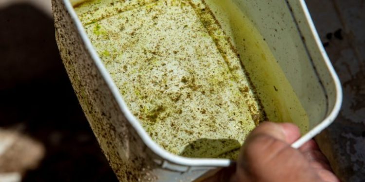 Atenção: Vitória da Conquista segue no topo de casos prováveis de dengue na Bahia