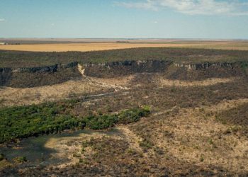 Ministros e governadores pactuaram ações conjuntas para o bioma do Cerrado