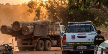 Brasil: Retomada de políticas ambientais reposiciona país no centro das discussões globais
