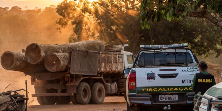 Brasil: Retomada de políticas ambientais reposiciona país no centro das discussões globais