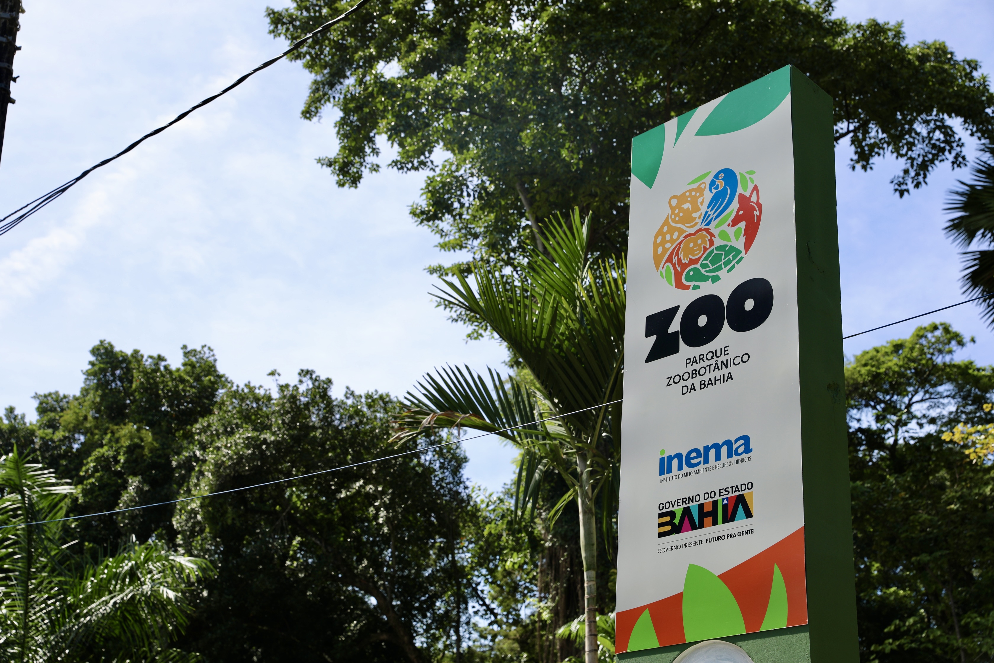 Lazer: Projeto “Férias é no Zoo” oferece programação educativa e ambiental no fim das férias escolares