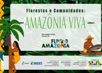 Fundo Amazônia lança chamada pública de R$ 80 milhões para produção sustentável