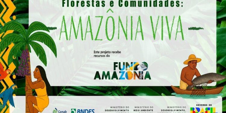 Fundo Amazônia lança chamada pública de R$ 80 milhões para produção sustentável