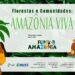 Fundo Amazônia lança chamada pública de R$ 80 milhões para produção sustentável