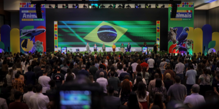 Políticas Públicas: Governo do Brasil anuncia pacote de medidas para fortalecer a proteção animal