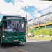 Transporte público: Novas linhas de ônibus melhoram mobilidade no Trobogy e Canabrava