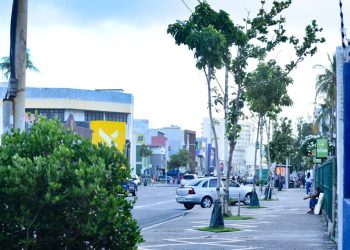Av. Manoel Dias: Prefeitura destaca desafio técnico e ambiental do plantio de árvores adultas no Corredor Verde