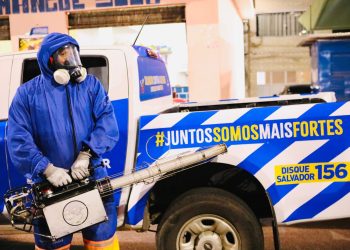 Ações contra o Aedes aegypti são intensificadas pela Prefeitura em Salvador a partir de segunda (8)
