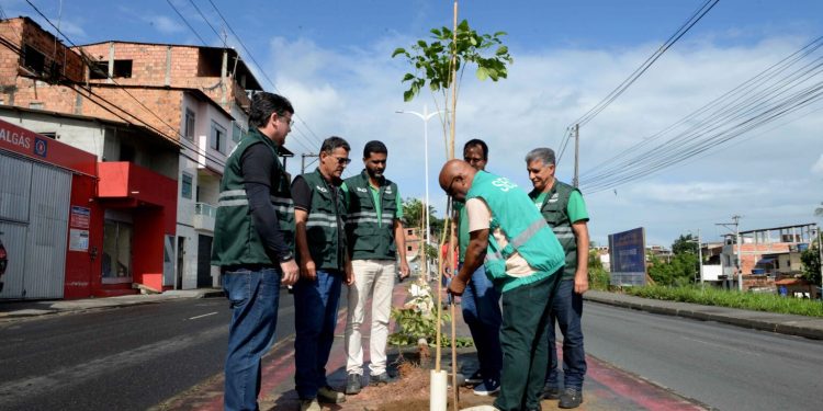 Após 25 dias de mobilização ambiental, Ambientaliza Salvador 2026 é concluído com plantio de mudas