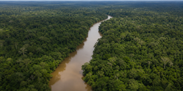 Pela primeira vez em sete anos, desmatamento fica abaixo de 1 milhão de hectares