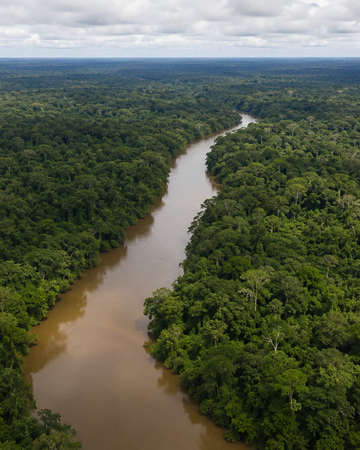 Pela primeira vez em sete anos, desmatamento fica abaixo de 1 milhão de hectares