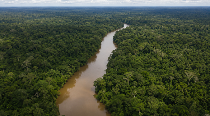 Pela primeira vez em sete anos, desmatamento fica abaixo de 1 milhão de hectares