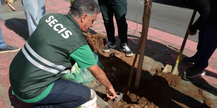 Programa Plante no Passeio fortalece a arborização urbana de Salvador