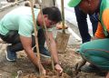 Prefeitura de Salvador promove plantio na Avenida Jequitaia em combate ao vandalismo contra mudas
