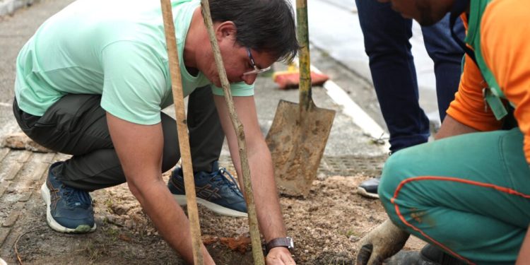 Prefeitura de Salvador promove plantio na Avenida Jequitaia em combate ao vandalismo contra mudas