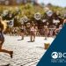 Confiança nas instituições: Brasil adere à Recomendação da OCDE sobre Integridade Pública