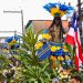 2 de Julho: População lota as ruas do Centro Histórico de Salvador para celebrar a Independência do Brasil na Bahia