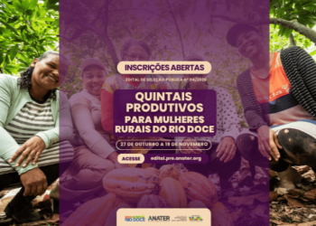 Quintais Produtivos: Governo do Brasil abre inscrições para edital para mulheres rurais da Bacia do Rio Doce